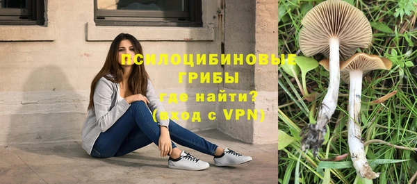 героин Лагань