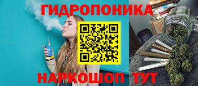 МДПВ Будённовск