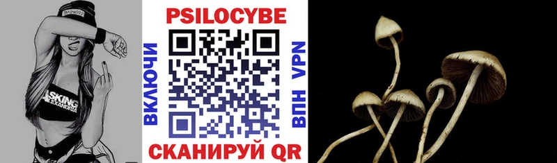 Псилоцибиновые грибы мицелий  Домодедово 