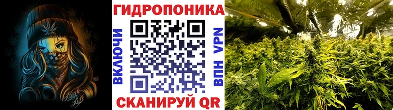 Канабис сатива Домодедово